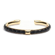 Infinity Black Python Golden